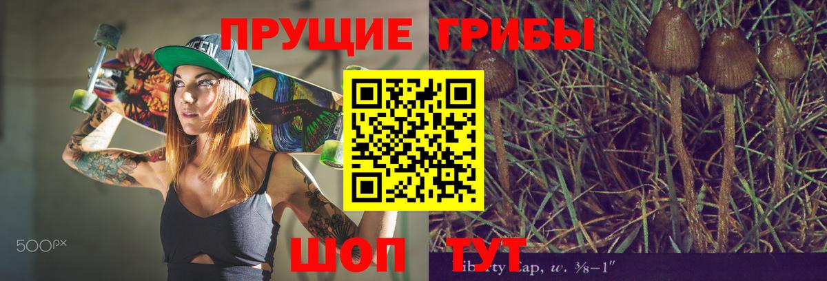 Железногорск  Псилоцибиновые грибы Magic Shrooms  Вход с VPN  Псилоцибиновые грибы прущие грибы 